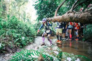 BIB: 
                            <button type="button" onclick="openModal(25471568)" class="btn btn-primary btn-sm float-right btn-popup" data-toggle="modal" data-target=".modal-high-quality">
                        <i class="fas fa-shopping-cart"></i> Add to Cart
                    </button>
                                            <button type="button" onclick="isThisMe(25471568, true)" class="btn btn-success btn-sm float-right btn-popup btn-isme hidden" data-toggle="tooltip" data-placement="bottom" title="นี่คือรูปของคุณใช่ไหม คลิกที่นี่เพื่อเอาเข้าอัลบั้ม">
                        <i class="fas fa-plus"></i> Add to album
                    </button>
                    <button type="button" onclick="isThisMe(25471568, false)" class="btn btn-warning btn-sm float-right btn-popup btn-isnotme hidden">
                        <i class="fas fa-ban"></i> Remove from album
                    </button>